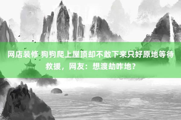 网店装修 狗狗爬上屋顶却不敢下来只好原地等待救援，网友：想渡劫咋地？