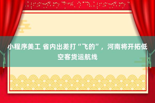 小程序美工 省内出差打“飞的”，河南将开拓低空客货运航线