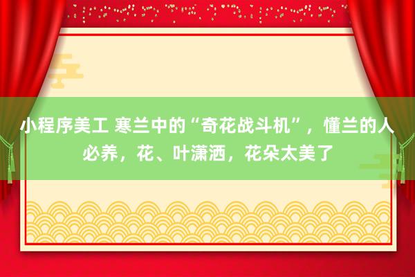 小程序美工 寒兰中的“奇花战斗机”，懂兰的人必养，花、叶潇洒，花朵太美了