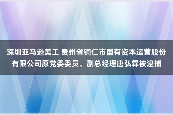 深圳亚马逊美工 贵州省铜仁市国有资本运营股份有限公司原党委委员、副总经理唐弘霖被逮捕