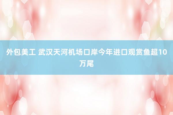 外包美工 武汉天河机场口岸今年进口观赏鱼超10万尾