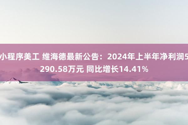 小程序美工 维海德最新公告：2024年上半年净利润5290.58万元 同比增长14.41%