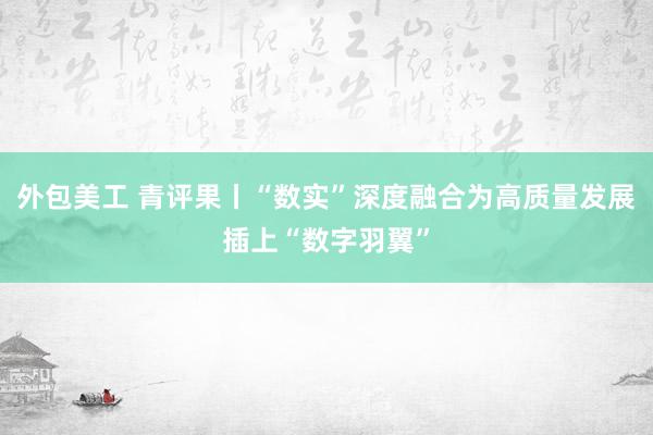 外包美工 青评果丨“数实”深度融合为高质量发展插上“数字羽翼”