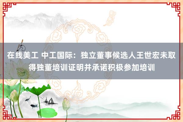 在线美工 中工国际：独立董事候选人王世宏未取得独董培训证明并承诺积极参加培训